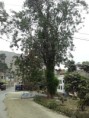 /album/chaclacayovillarica/20221208-124328-jpg/