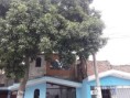 /album/chaclacayovillarica/20221208-124455-jpg/